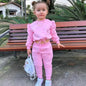 2 Pieces Girls' Long Sleeve Hoodie & Pants Set
