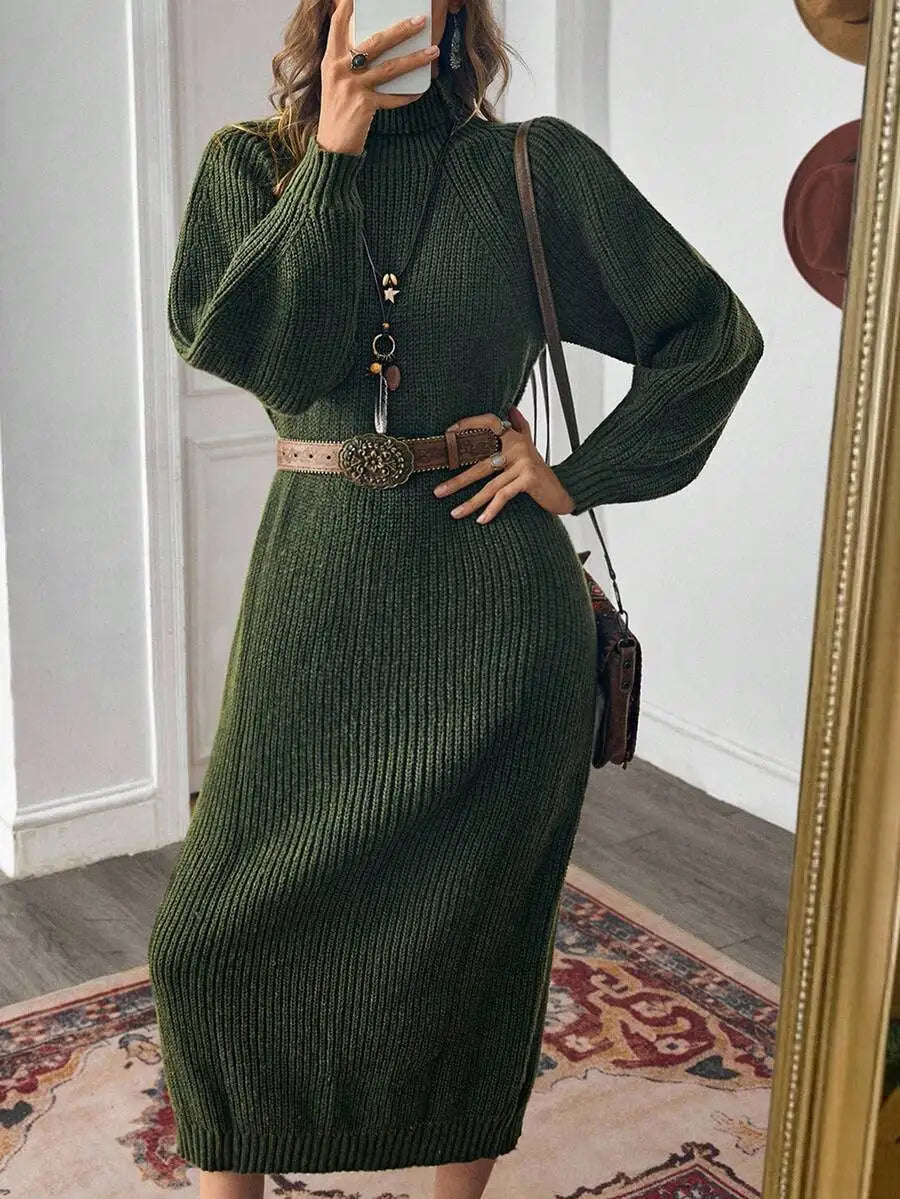 Black Turtleneck Ribbed Knit Long Sleeve Sweater Dress for Women