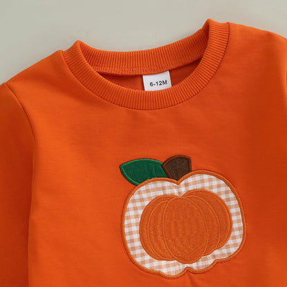 Baby 2Pcs Outfits-Long Sleeve Pullover Tops + Pocket Pants