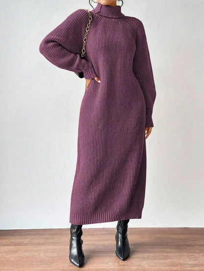 Black Turtleneck Ribbed Knit Long Sleeve Sweater Dress for Women